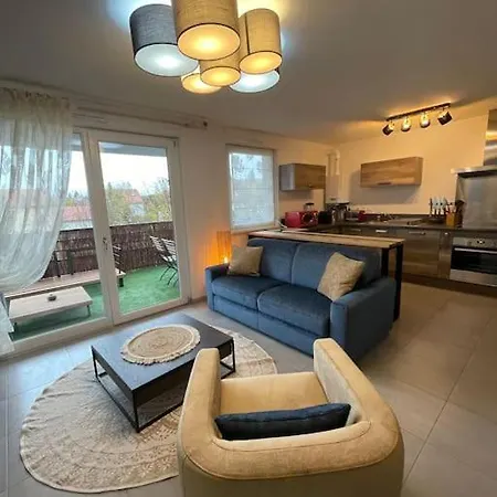 - Note Boisee - Terrasse & Parking * Sélestat